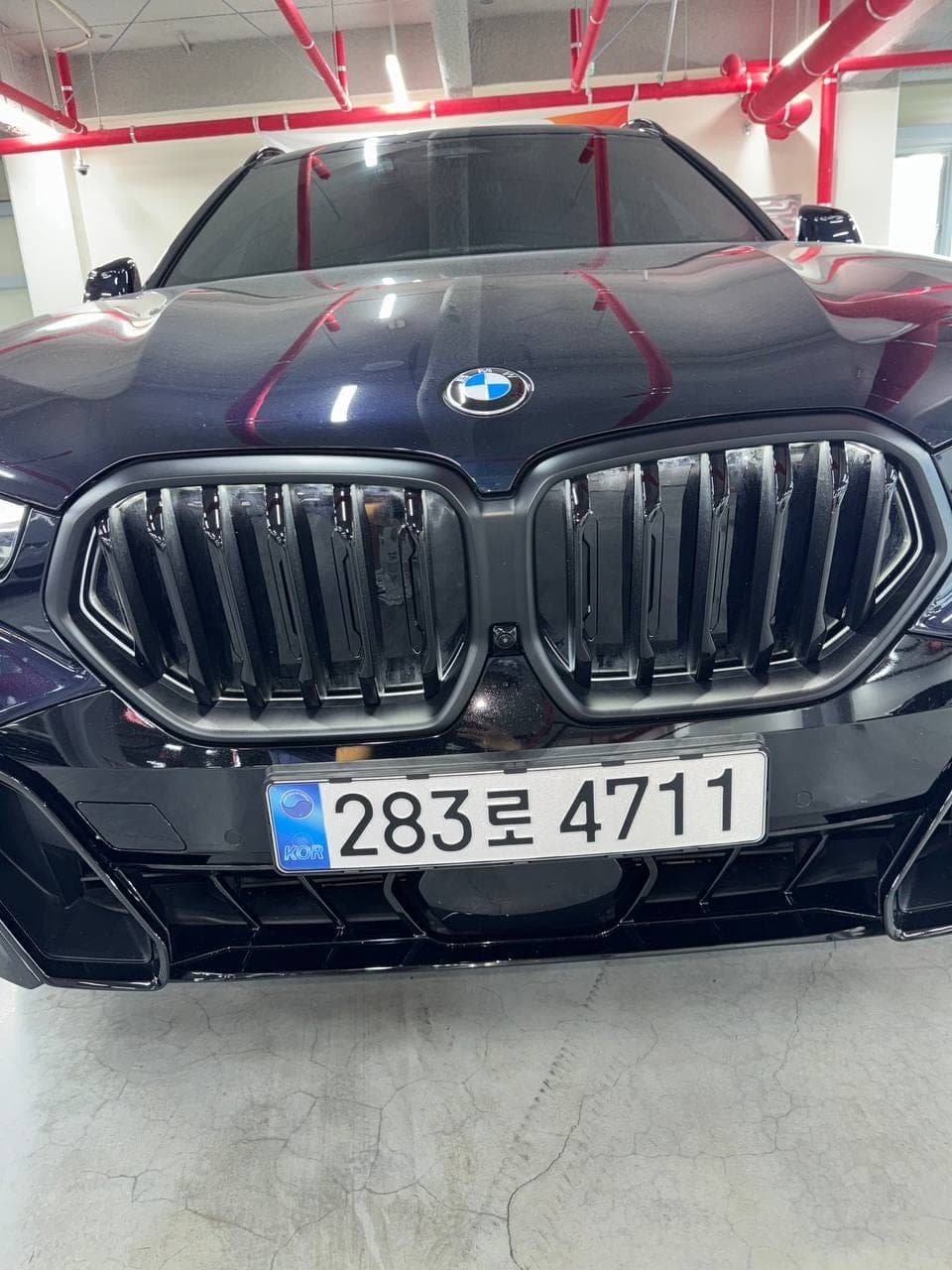 BMW X6 xDrive40i M Sport — решётка радиатора и эмблема