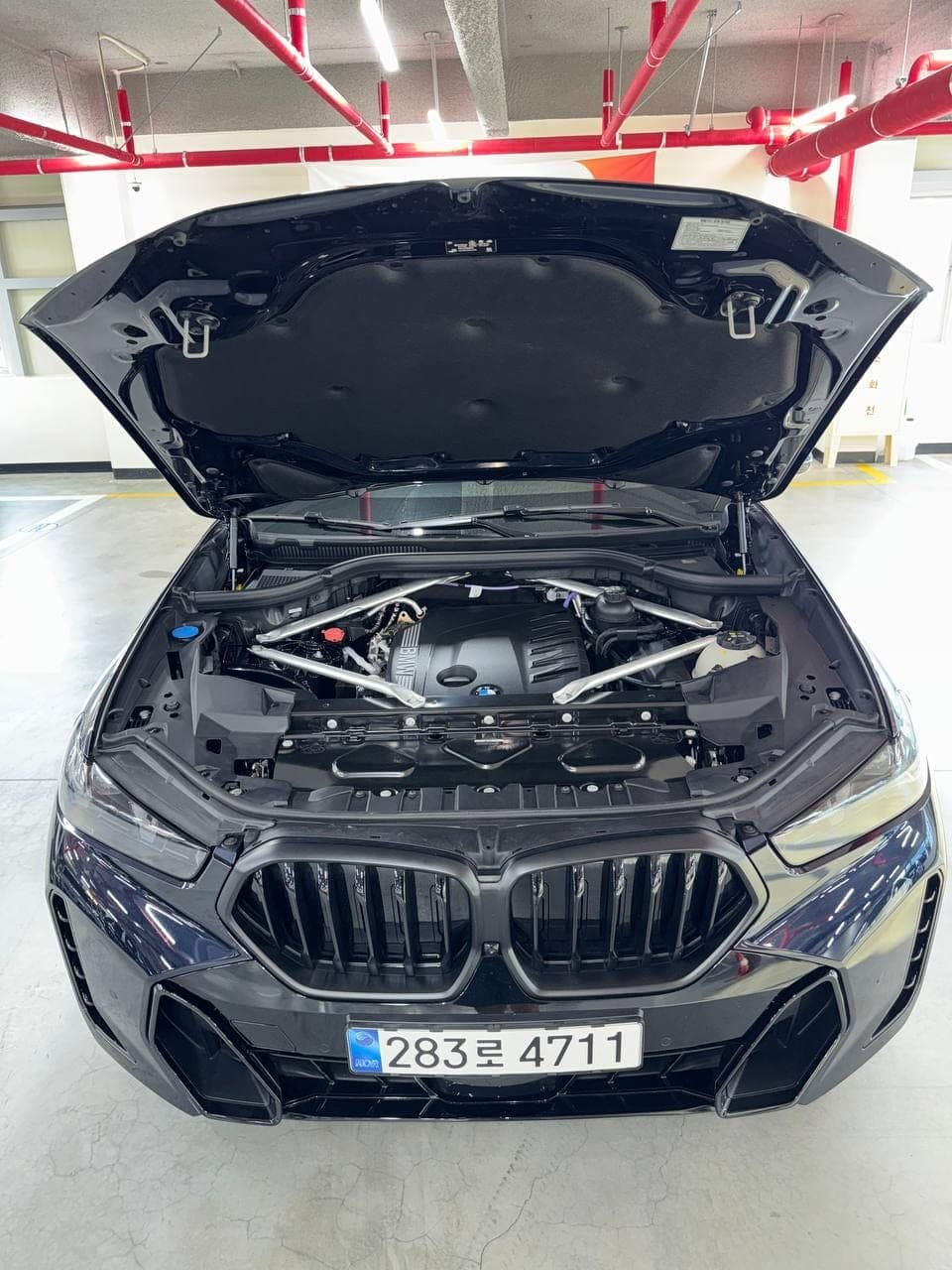 BMW X6 xDrive40i M Sport — открытый капот, общий вид моторного отсека